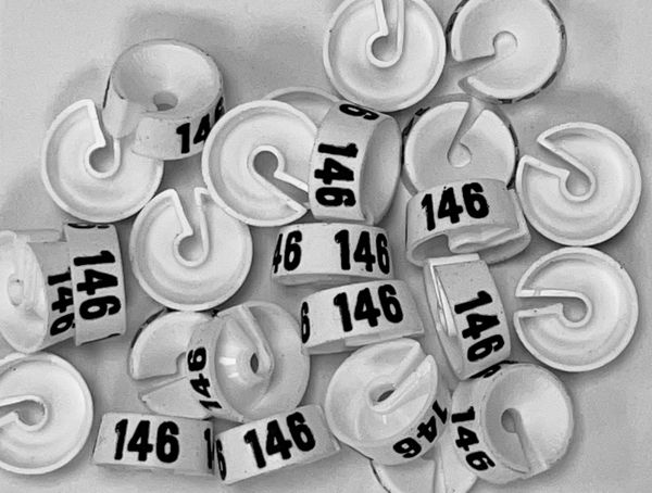 Maatdopje maat 146 wit maataanduiding voor kledinghangers per 25 stuks