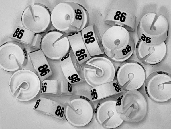 Maatdopje maat 86 wit maataanduiding voor kledinghangers per 25 stuks