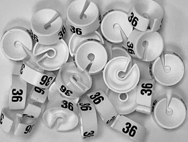 Maatdopje maat 36 wit maataanduiding voor kledinghangers per 25 stuks