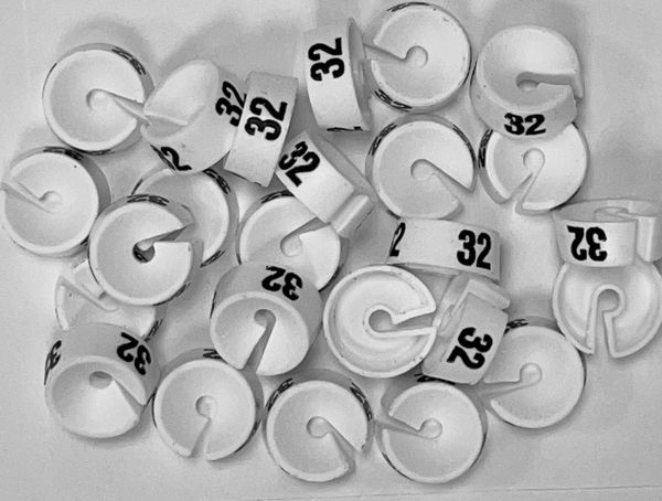 Schoenmaat 32 hotsell