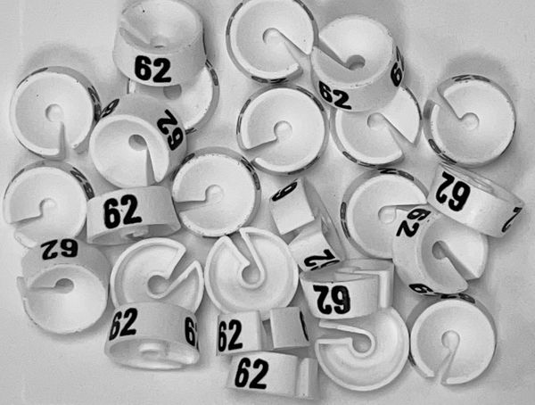 Maatdopje maat 62 wit maataanduiding voor kledinghangers per 25 stuks