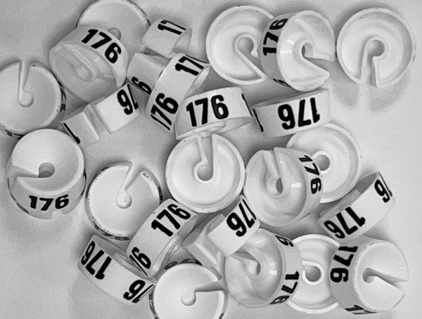 Maatdopje maat 176 wit maataanduiding voor kledinghangers per 25 stuks